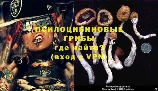 mix Магас