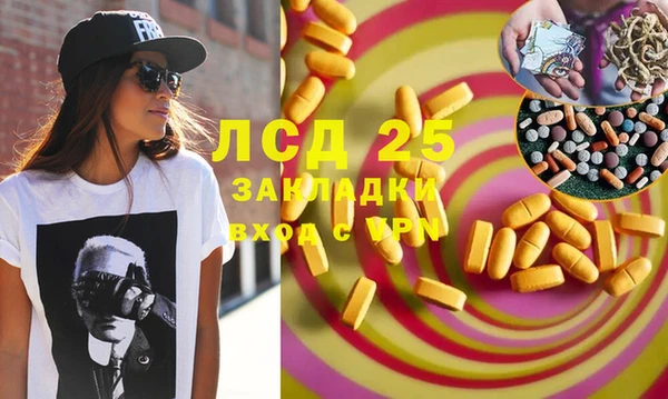 ПСИЛОЦИБИНОВЫЕ ГРИБЫ Верхний Тагил