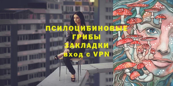 ALPHA PVP Верея