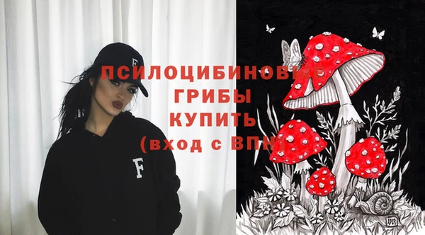 шишки Володарск