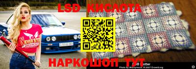 шишки Апшеронск