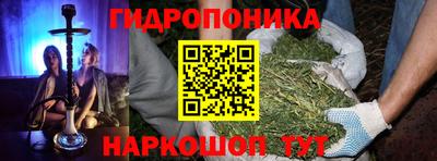 шишки Апшеронск