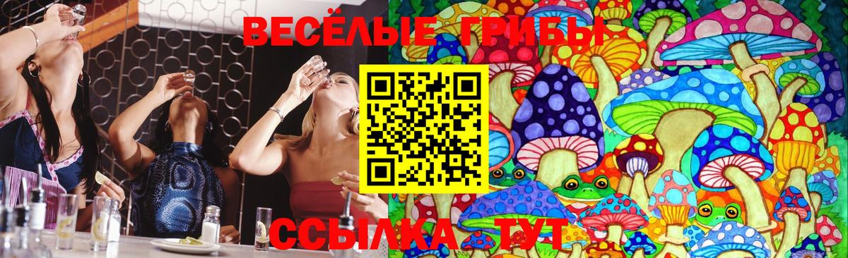 купить закладку  Вичуга  Галлюциногенные грибы Psilocybine cubensis 