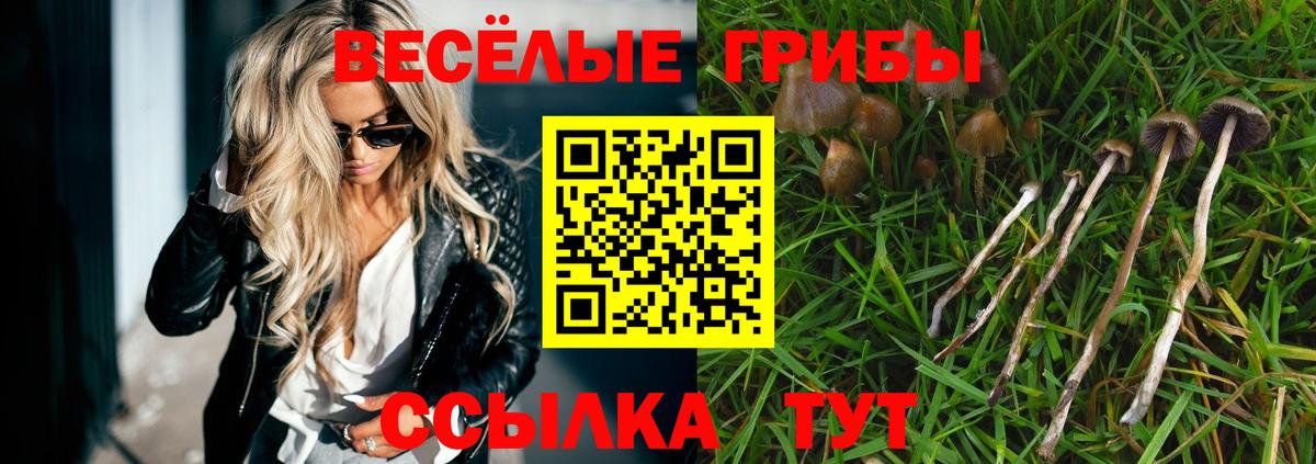 Alpha PVP Вичуга