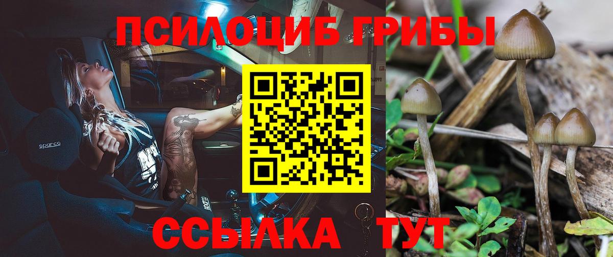Псилоцибиновые грибы MAGIC MUSHROOMS  Вход с VPN  Вичуга 