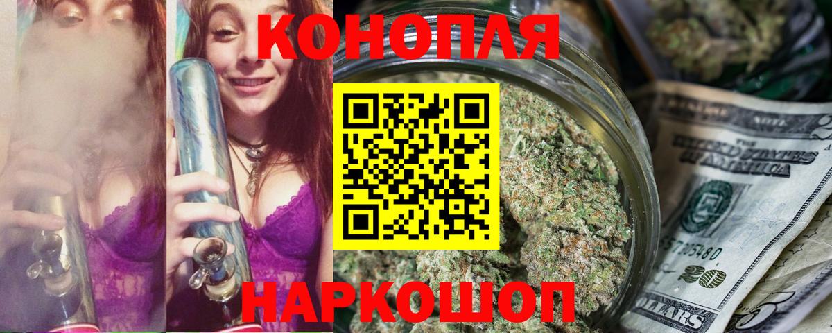 Бошки Шишки семена Вичуга